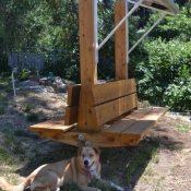 bench with dog